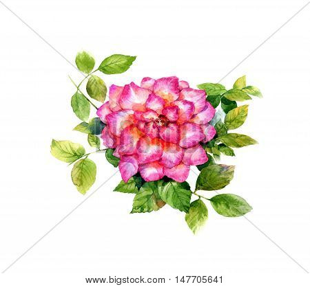 watercolor painting of leaves and flower on white background