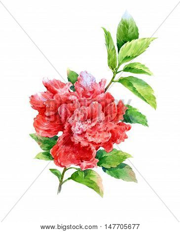 watercolor painting of leaves and flower on white background
