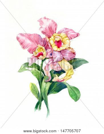 watercolor painting of leaves and flower on white background
