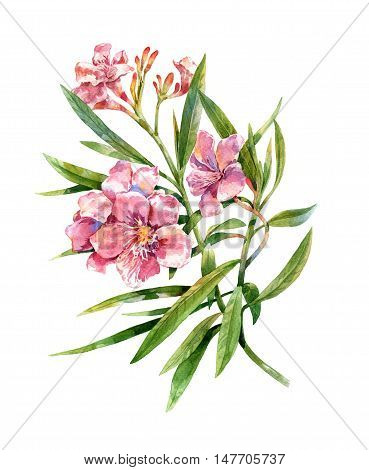 watercolor painting of leaves and flower on white background