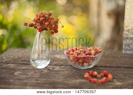 Red Berries On Beautiful Background