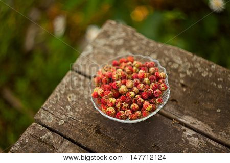Red Berries On Beautiful Background