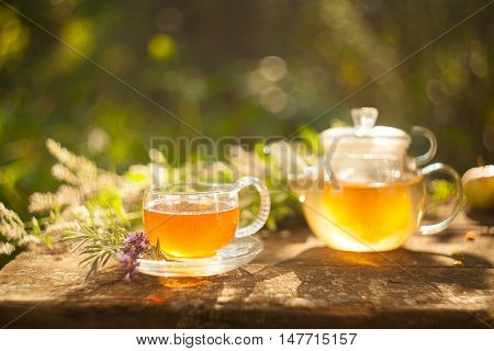 Green Tea In Beautiful Cup