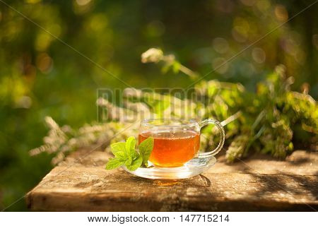 Green Tea In Beautiful Cup