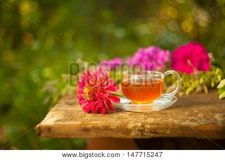 Green Tea In Beautiful Cup