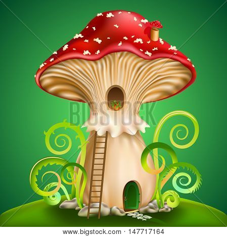 magic mushroom with door and window on green background