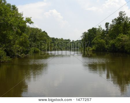 Bayou
