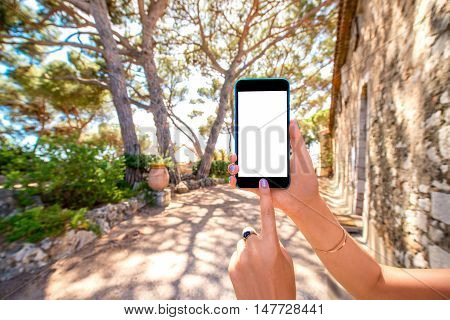 Holding smart phone with white screen to copy paste with pine trees on the backgournd in the park or forest
