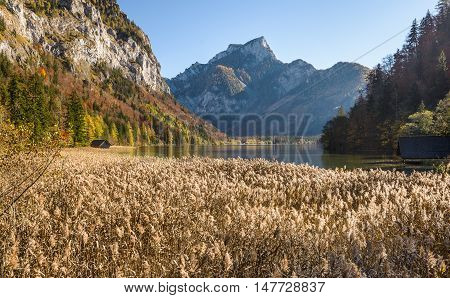 Autumn landscape with  mountain lake. Leopoldsteinersee, Styria, Austria.