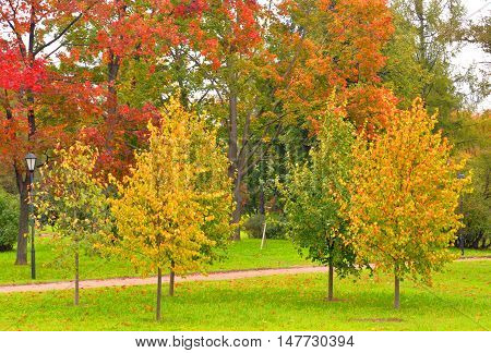 Park Kurakina Dacha early autumn in St.Petersburg Russia.