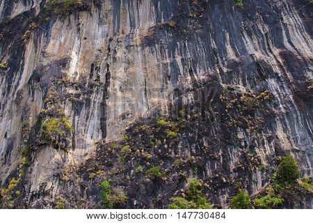 Rock reliefs thai stone texture beautiful monumentally