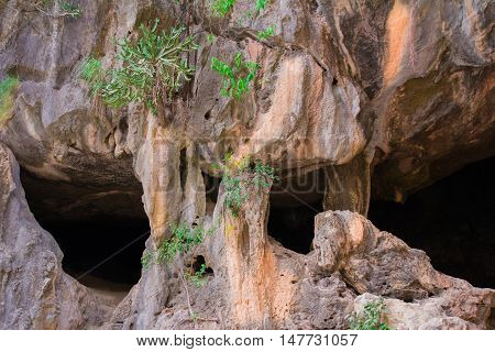 Rock reliefs thai stone texture beautiful monumentally