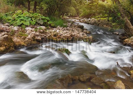 Gradac river gorge. Long exposure of white water rapids and waves with rocks and moss