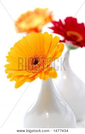 화병