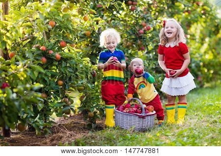 Children picking apples on a farm in autumn. Little girl boy and baby playing in apple tree orchard. Kids pick fruit in a basket. Toddler eating fruits at harvest. Fall outdoor fun for children.