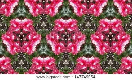 This is an incredible abstract mix of nature.