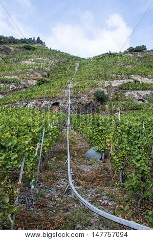 Famous train rail in German Wineyard Region Moselle River Winningen
