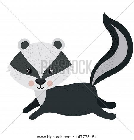 Skunk cartoon icon. Forest animal theme. Isolated design. Vector illustration