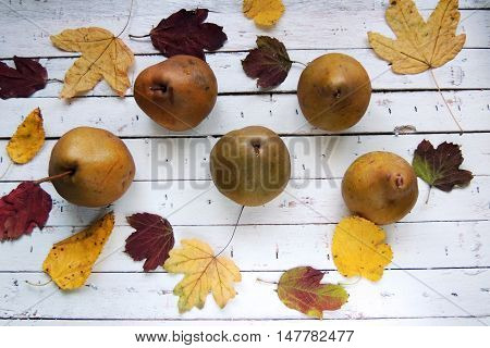 Pear And Autumn Leaves