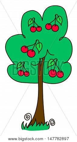 дерево, природа, картинка, черешня, вишня, tree, nature, cherry.