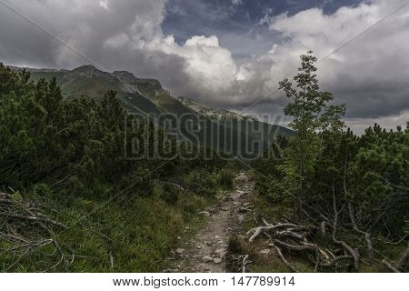 Beautiful landscape in the Belianske Tatry. Slovakia.