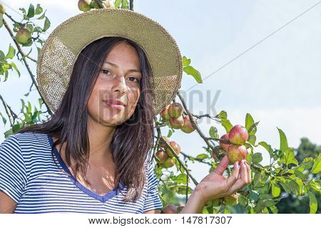 Young european woman wearing straw hat holding apples in orchard