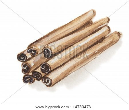 Watercolor bunch of cinnamon. Tasty seasoning. Organic herbal vitamin. Ingredient for christmas food and beverage.