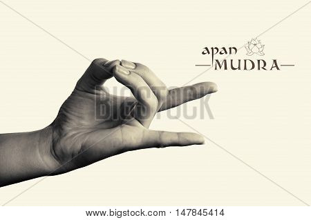 B/W image of woman hand in apan mudra. Gesture is isolated on toned background.