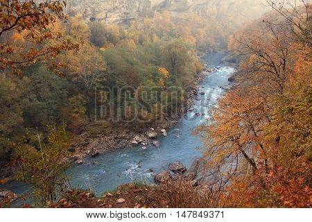 Warm autumn landscape of vast forest territory with rapid mountain river. Top point view