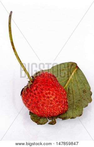 The Strawberries red beautiful on white background.