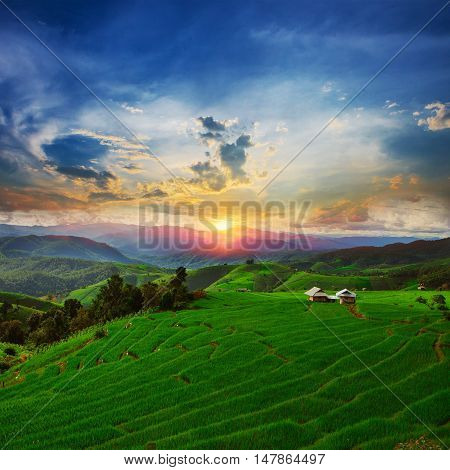 Sunset Ban Papongpieng Rice Terraces Chiang Mai North of Thailand