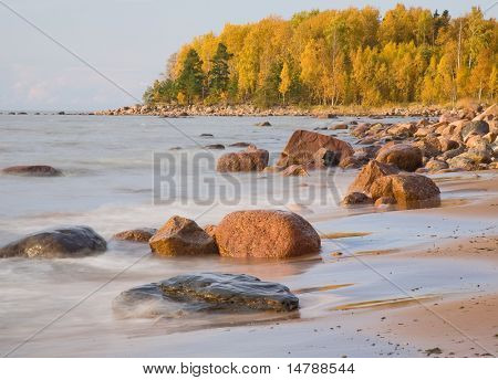 pobřeží s kameny a Les na podzim
