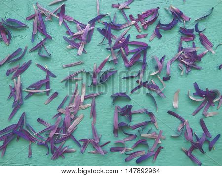Petals scattered on the table. Texture wood
