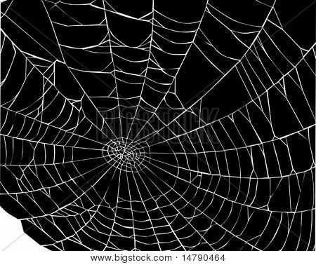 illustrazione con ragnatela isolato su sfondo nero