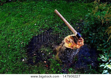 An axe with a wooden handle on a stubwith a background of green grass