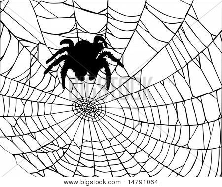 illustrazione con ragnatela isolata on white background