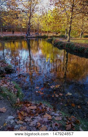 Autumn Landscape With Colorful Leaves, River And Reflections In Water