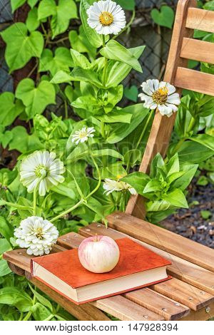 Apple and book on a garden chair among the flowering white zinnias in the garden on a summer day close-up. Selective focus