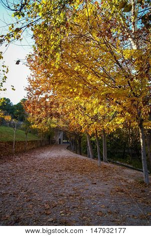 Autumn Landscape   In Caravaca De La Crus, Spain