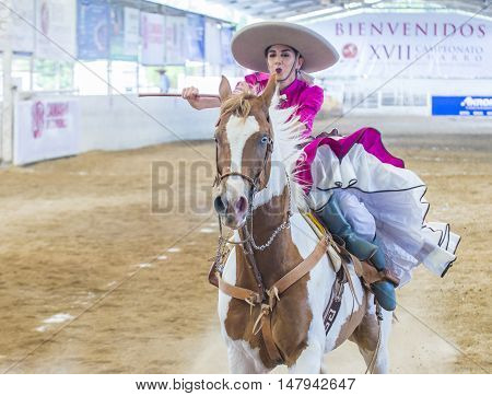 GUADALAJARA MEXICO - SEP 01 : Charra participates at the 23rd International Mariachi & Charros festival in Guadalajara Mexico on September 01 2016.