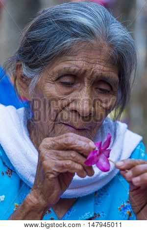 PANCHIMALCO EL SALVADOR - MAY 08 : A Salvadoran woman decorates palm fronds with flowers during the Flower & Palm Festival in Panchimalco El Salvador on May 08 2016