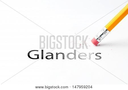 Closeup of pencil eraser and black glanders text. Glanders. Pencil with eraser.