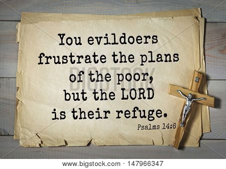 TOP-1000.  Bible verses from Psalms. You evildoers frustrate the plans of the poor, but the LORD is their refuge.