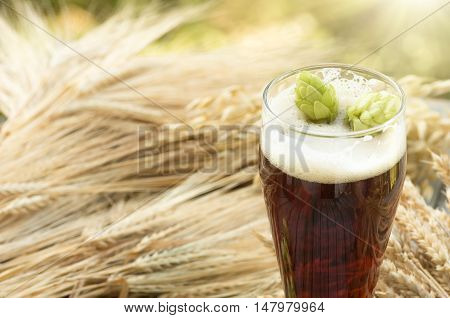 large glass dark beer kvass malt hops barley ears standing on an old wooden table dyeing natural background