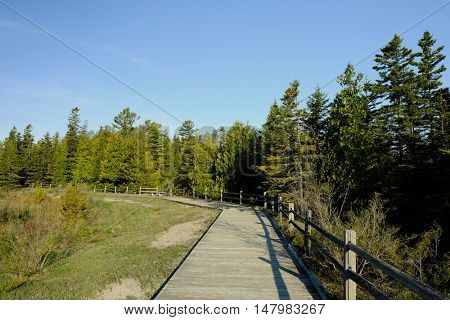 Boardwalk in forest at Presque Isle, MI, USA