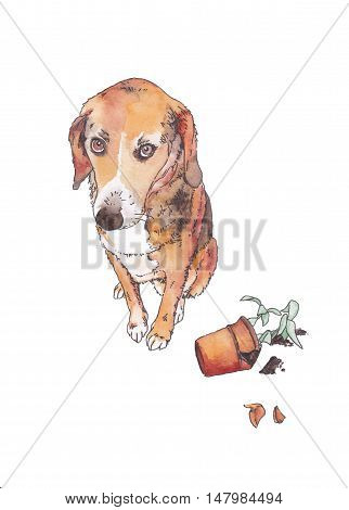 guilty dog near the broken flowerpot on white background