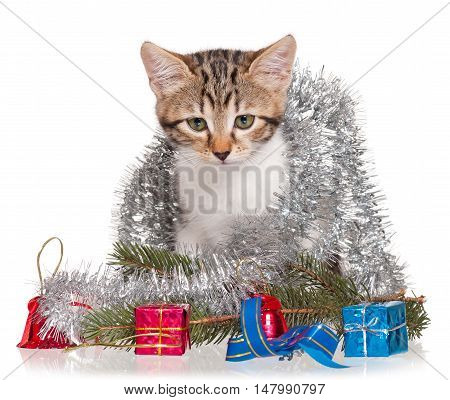 Cute kitten with accessories of celebration of new year isolated on white background