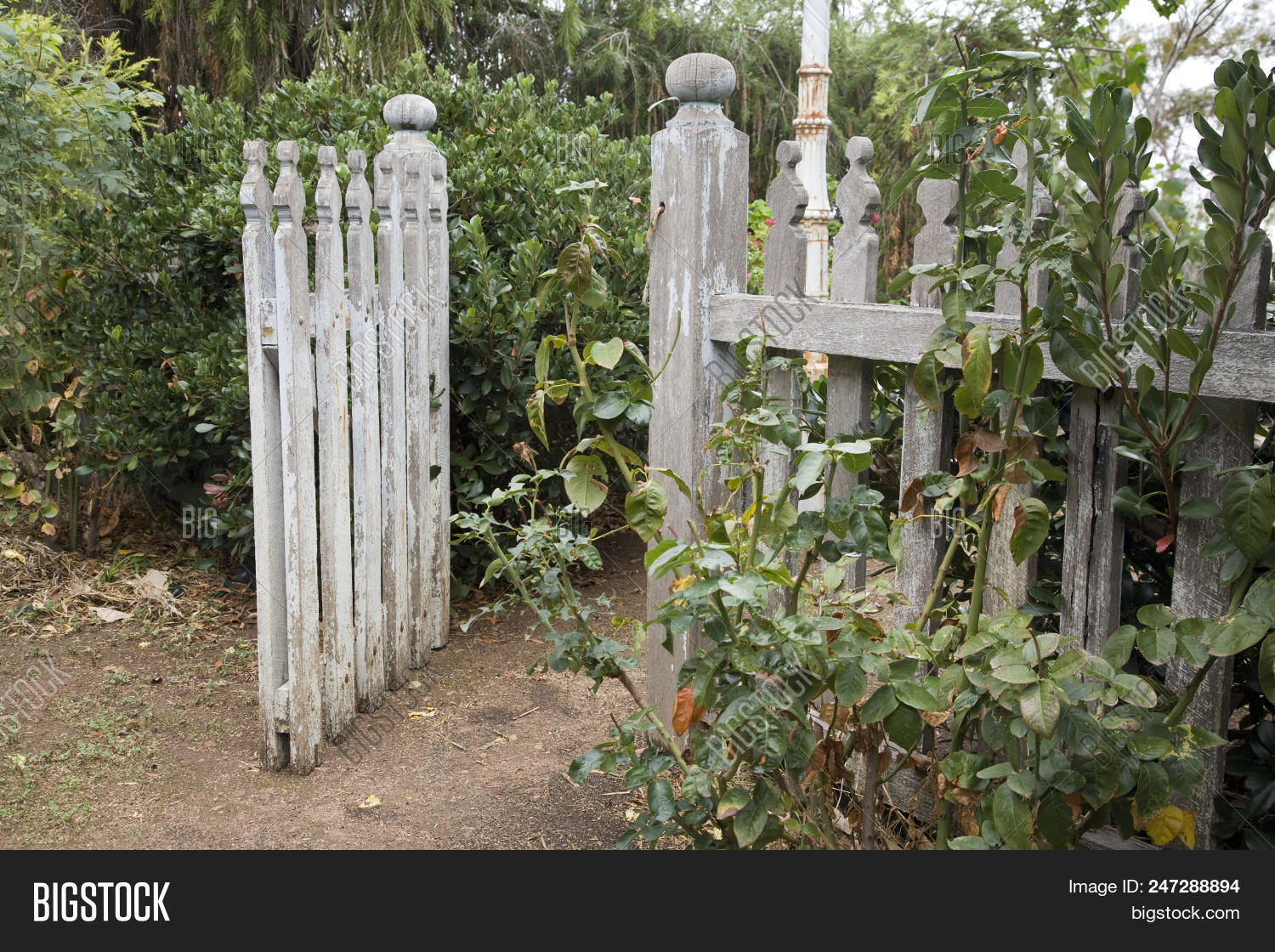 Old Picket Fence Gate Image & Photo (Free Trial) Bigstock