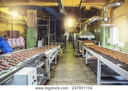Automated Production Line And Conveyor Belt At Modern Bakery Factory Interior. Machines And Equipmen
