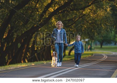 Concept Of Happy Young Mother With Adorable Kids And Dog Walking In Park